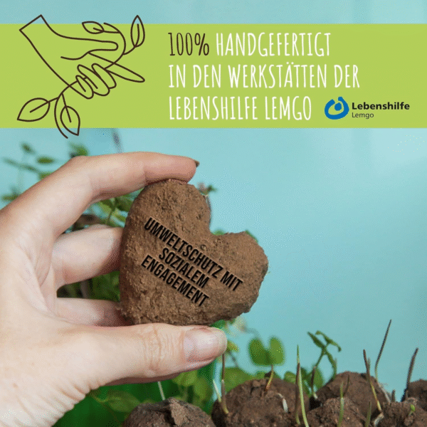 12x Samenbomben für eine farbenfrohe Bienenweide – Bild 4