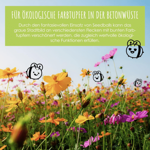 12x Samenbomben für eine farbenfrohe Bienenweide – Bild 3
