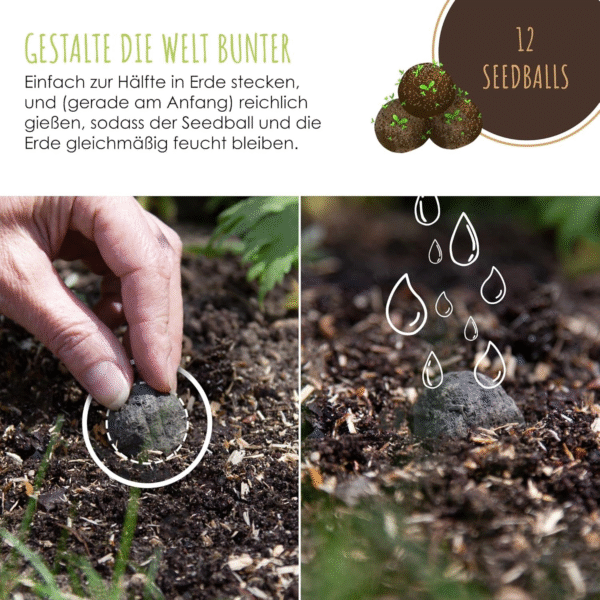 12x Samenbomben für eine farbenfrohe Bienenweide – Bild 6