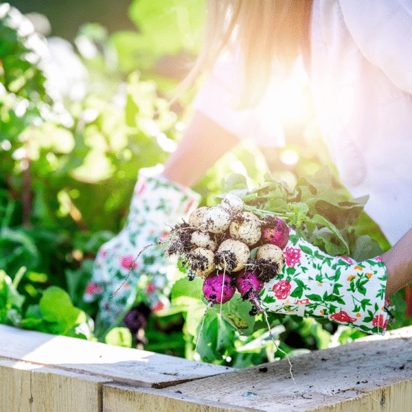 valeaf BIO Gartenjahr Samen Set – 12er Bio Gemüsesamen für Balkon, Hochbeet & Garten – Bild 7