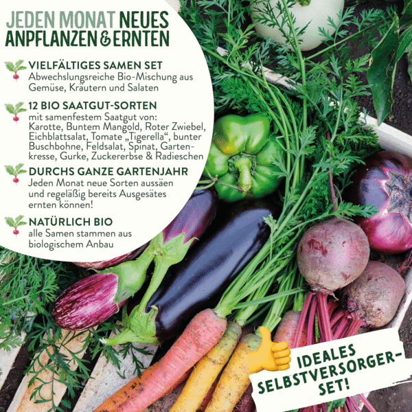 valeaf BIO Gartenjahr Samen Set – 12er Bio Gemüsesamen für Balkon, Hochbeet & Garten – Bild 3