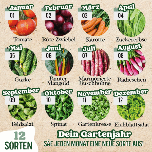 valeaf BIO Gartenjahr Samen Set – 12er Bio Gemüsesamen für Balkon, Hochbeet & Garten – Bild 6