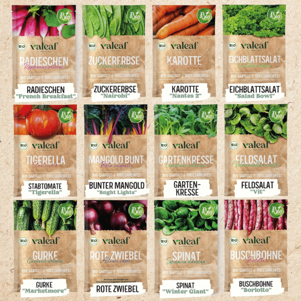 valeaf BIO Gartenjahr Samen Set – 12er Bio Gemüsesamen für Balkon, Hochbeet & Garten – Bild 4